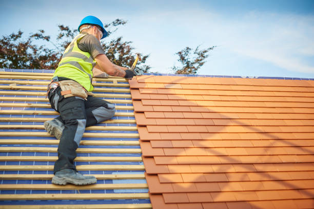 Best Roof Coating and Sealing  in Berthoud, CO
