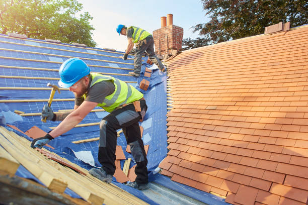 Best Gutter Installation and Repair  in Berthoud, CO